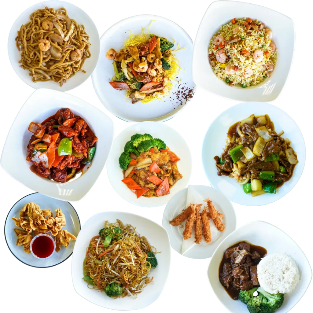 Party trays at Noodle Wok Mississauga — catering for 10 to 30 guests